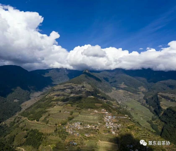 行业资讯亚洲欧美国产日韩综合专业可靠，技术精湛