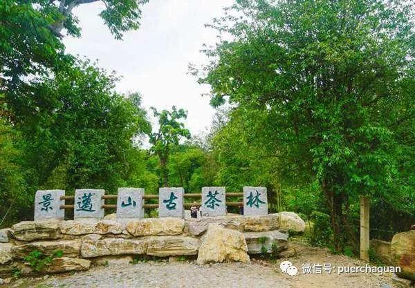 保护单反镜头亚洲欧美国产日韩综合，你的摄影利器，我来守护